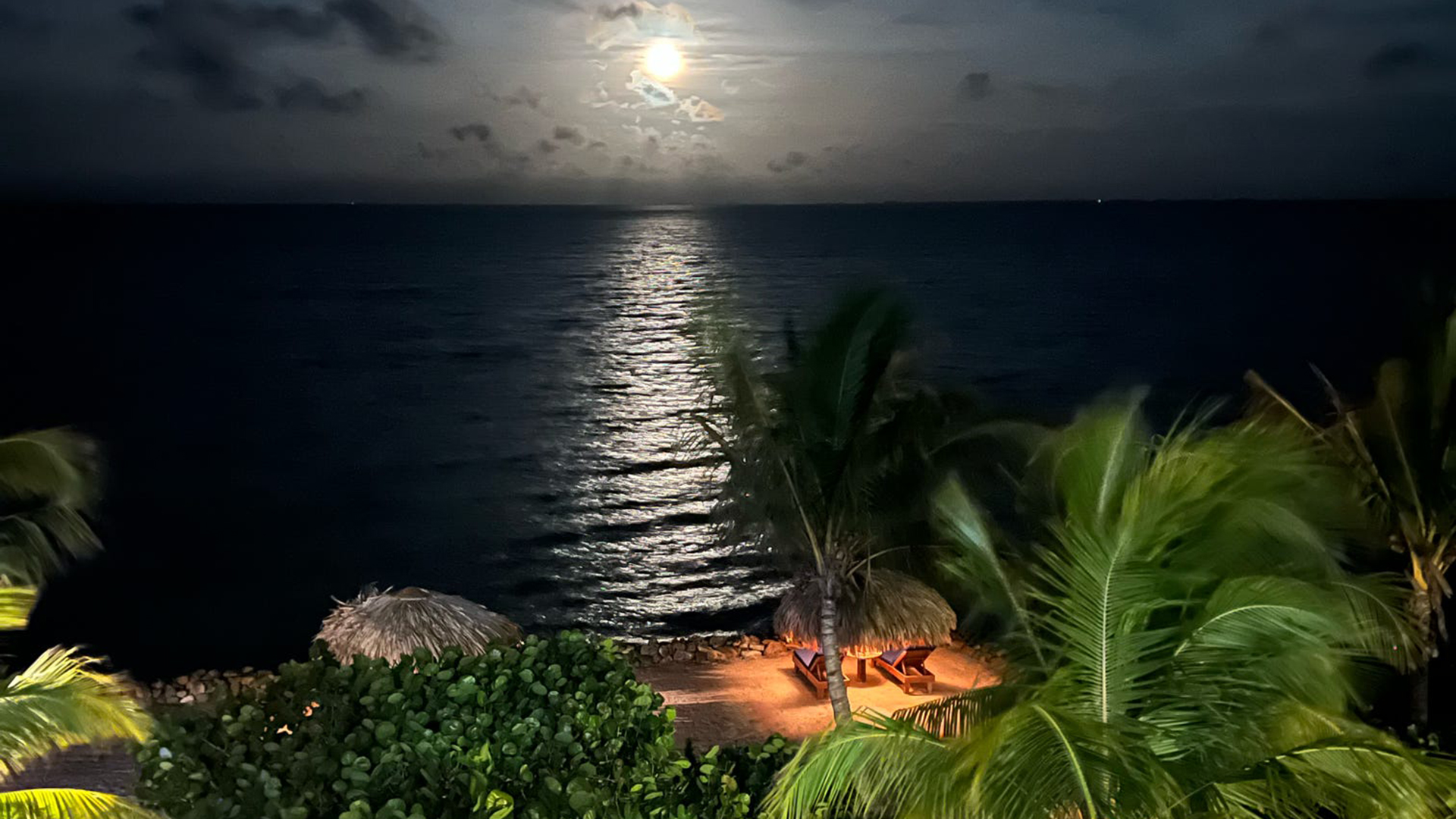 A photograph showing the Amazing Sirenian Bay Experience