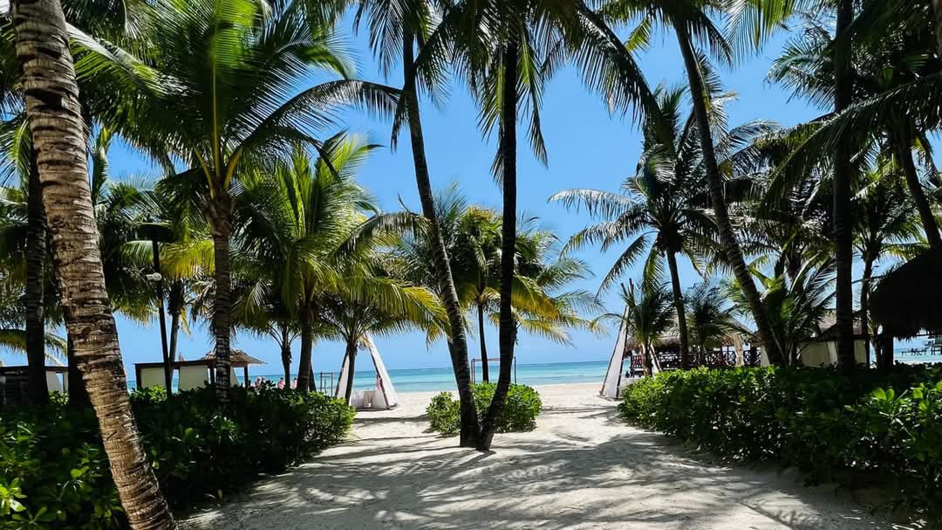 A photograph showing the Amazing Lomas Hospitality Experience