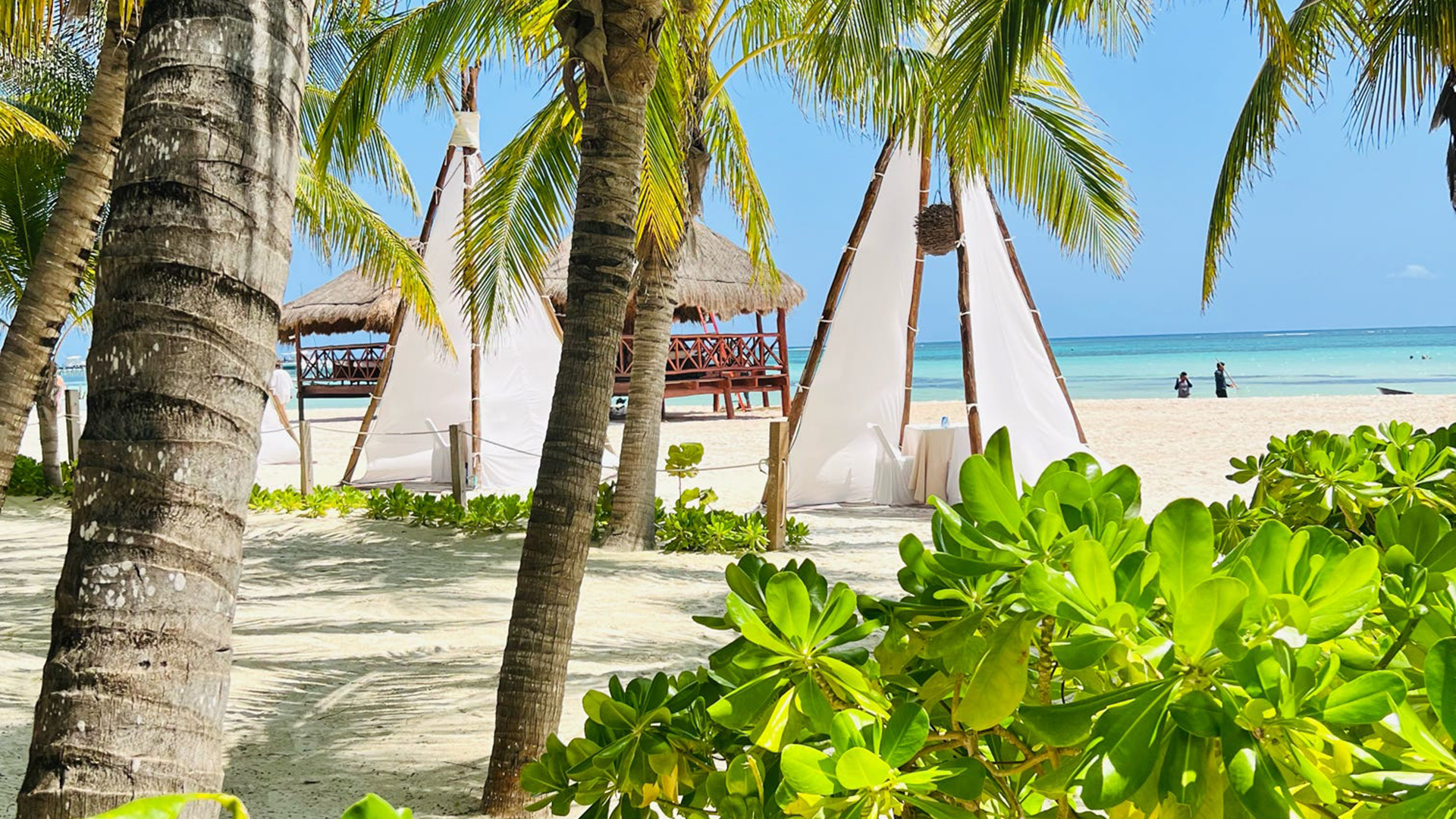 A photograph showing the Amazing Lomas Hospitality Experience