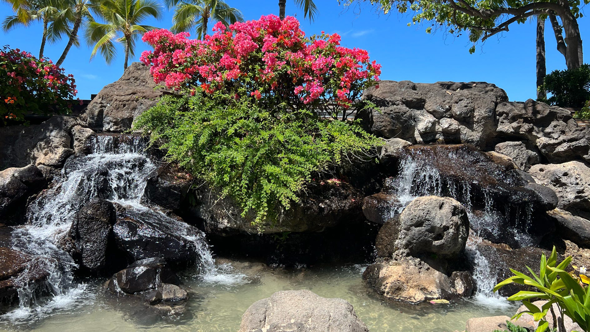 A photograph showing the Amazing Hawai'i Experience