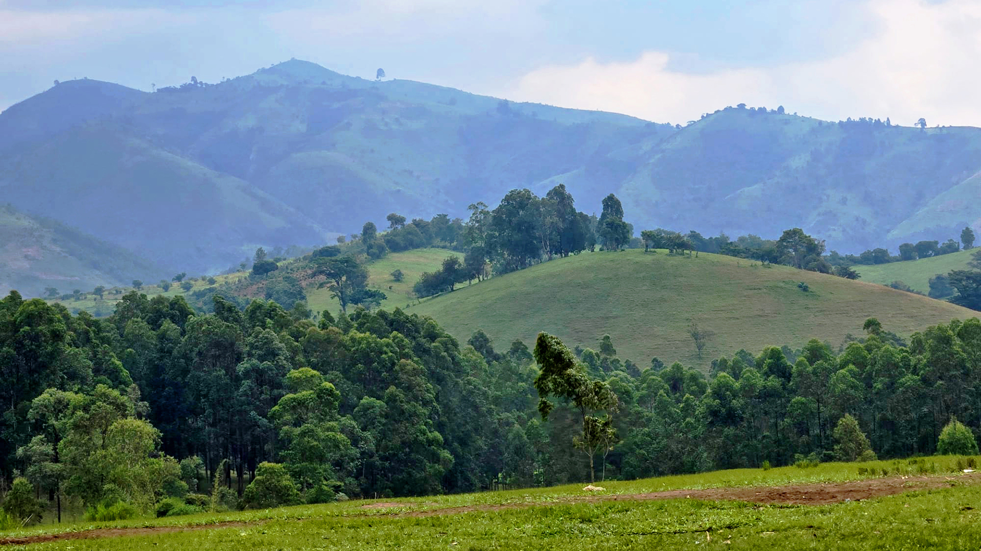 A photograph showing the Amazing Uganda Experience