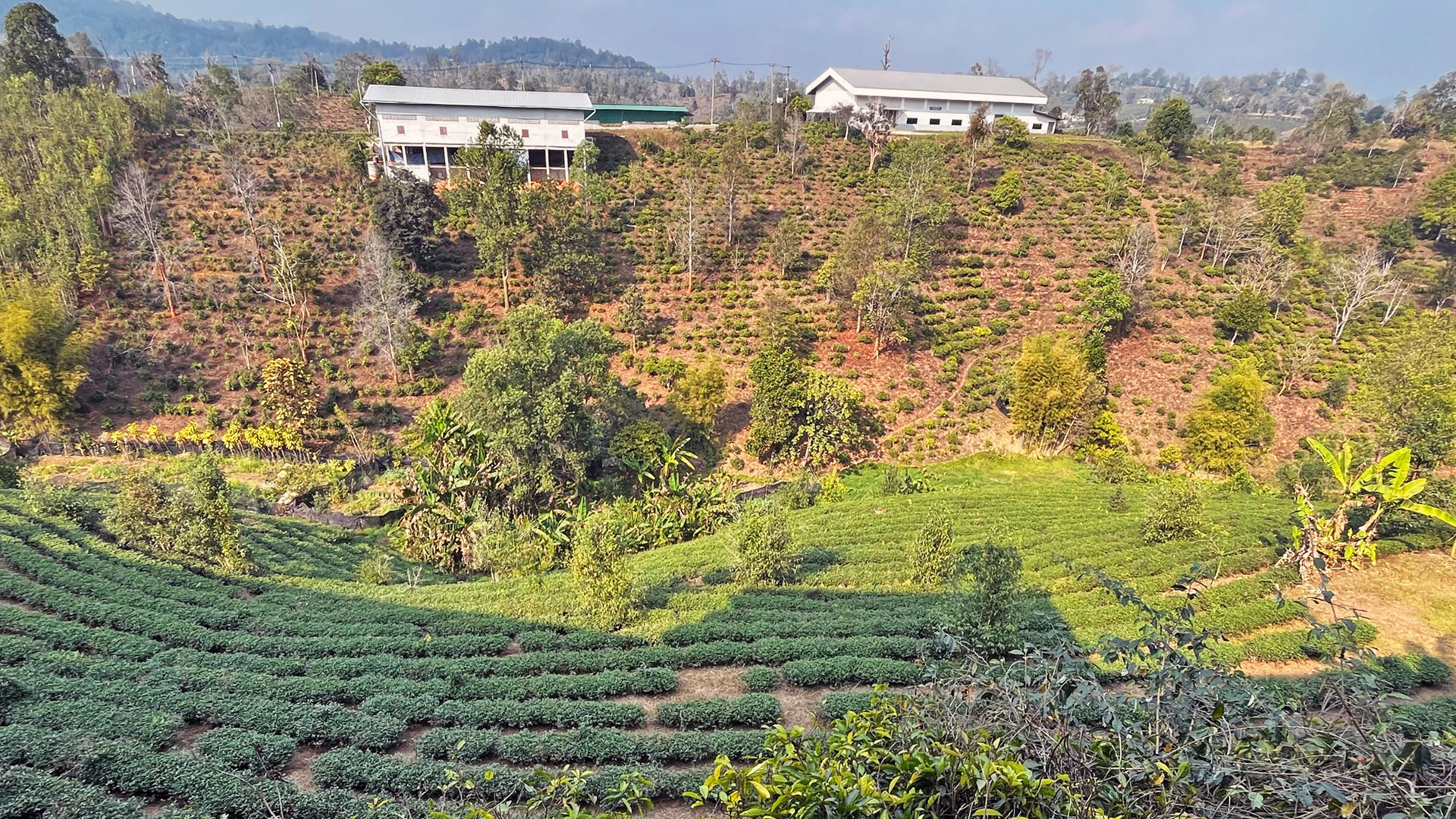 A photograph showing the Amazing Thailand Experience